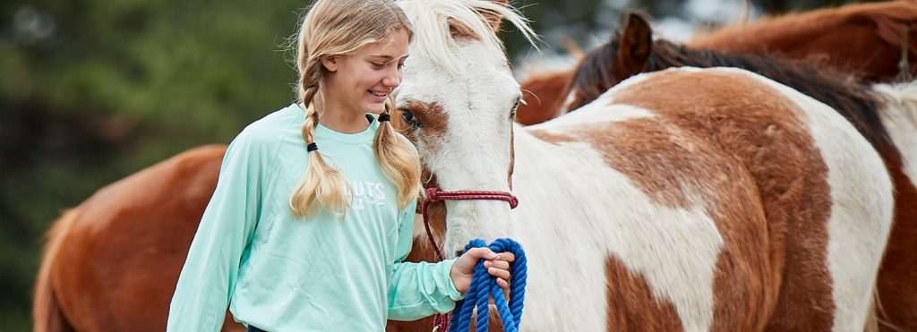 Safety Moments Horses hero
