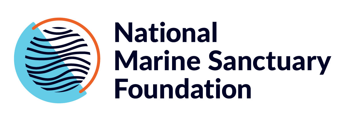 NMSF_Logo_RGB