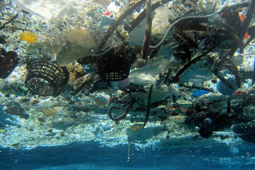 DiscoverMarineDebris2