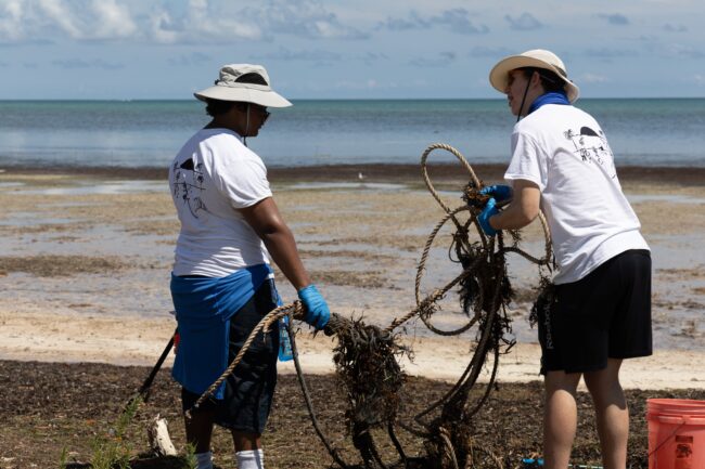 IMG-0859-650×433