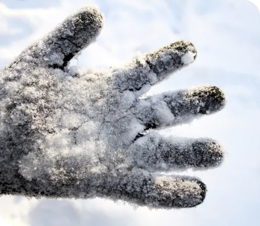 frostbite-image.webp