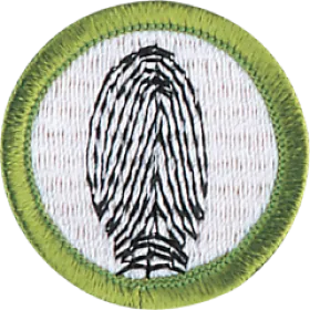 fingerprinting@2x