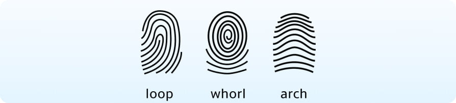 fingerprints-img-2
