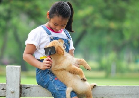 Dog-Care_merit-badge-overview