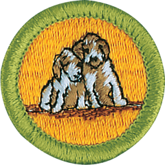 DogCare