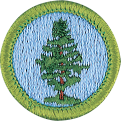 Forestry