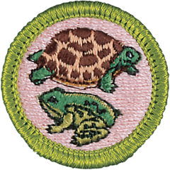 ReptileAndAmphibian