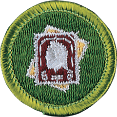 StampCollecting
