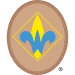 WebelosOvalInsignia_square